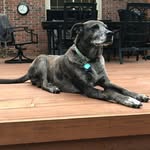 Matt Brumbaugh - @embrumbaugh - Instagram