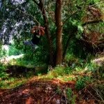 Matthew Buie - @i3uie - Instagram