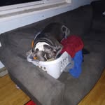 Matt Burrows - @violetandrubble1016 - Instagram