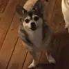 matthew.bushnell - @matthew.bushnell3 - TikTok