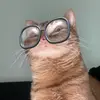 Matt Cable - @matt.cable2316 - TikTok