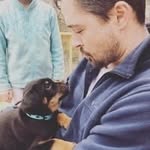 Matt Cable - @tigerswild2001 - Instagram