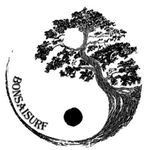 Matt Callaghan - @bonsai.surf - Instagram