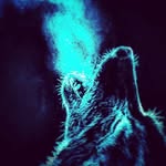 matt callihan - @matt_callihan - Instagram