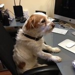Matt Carle - @mattcarle6f15 - Instagram