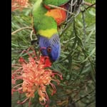 Matt Carruthers - @green_fingers - Instagram