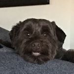 Matt Cassell - @mattcassell14 - Instagram