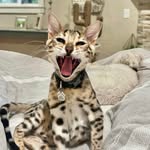 Matt Cates - @catesmatt - Instagram