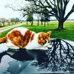 Matt Cates - @mattcates_photography - Instagram