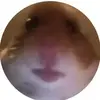 Matthewchatfield - @mattyice1____ - TikTok