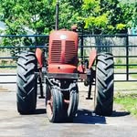 mattchevalier - @mattchevalier1 - Instagram