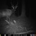 Matt Clawson - Facebook