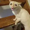 Matt Cleland617 - @matt.cleland3 - TikTok