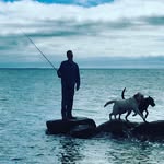 Matt Cody - @mattc_123 - Instagram