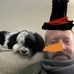 Matthew Coen - Facebook