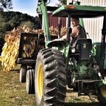 Matt Collier - @collier_farms - Instagram