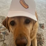Matt Cone - @mattcgolf - Instagram