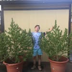 Matt Cone - @broipster - Instagram