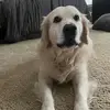 Matt Coulter495 - @mattcoulter00 - TikTok