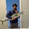 Matt Coulter - @mattcoulter.7 - TikTok