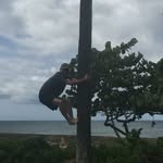 Matt Cranston - @matt_cranston1 - Instagram