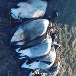 Matthew Allen Craycraft - @matthewcraycraft_ - Instagram
