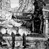 Matthew Craycraft - @matthew.craycraft - TikTok