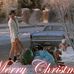 Matt Criswell - Facebook