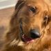 Matt Crouse - Facebook