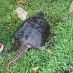 Matt Crowley - @matthewcrowley44 - Instagram