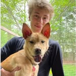 Matt Crowley - @matt.crowley13 - Instagram