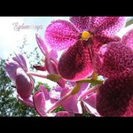 Mathew Curfman - @mathewcurfman - Instagram