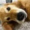 MattDace - @mattdacey - TikTok