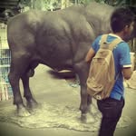 insan terhina - @mattdeck_ - Instagram