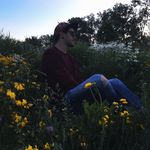 Matt DeMarco - @mattdemarcomusic - Instagram