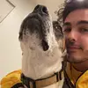 mattdemarco16 - @m.dmvrco - TikTok