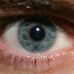 Matthew Dettmann - Facebook