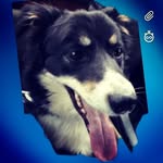 matthew devaney - @devaney.matthew - Instagram