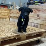 Matt Dever - @mattdeverbuilds - Instagram