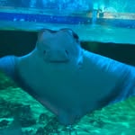 Matt Diehl - @matt.diehl42 - Instagram