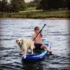 Matt Diehl - @mdiehl - TikTok