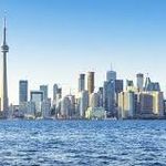 matt dimarco - @905businessmarketing - Instagram