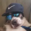 Matthew - @matt_dixson9142 - TikTok