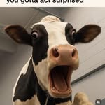 Matt Dodge - @matt.dodge74 - Instagram