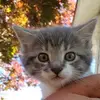 mattdodge165 - @mattdodge165 - TikTok