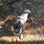 Matt Dodson - @mattdodson1214 - Instagram