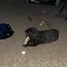 Matt Doner - Facebook