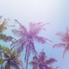 Matt Donovan - @comingg.backk.innnn.2029 - TikTok