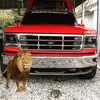 Matt Dorman - @2165744403 - TikTok
