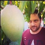 Matt D'Ortona - @mattdortona - Instagram